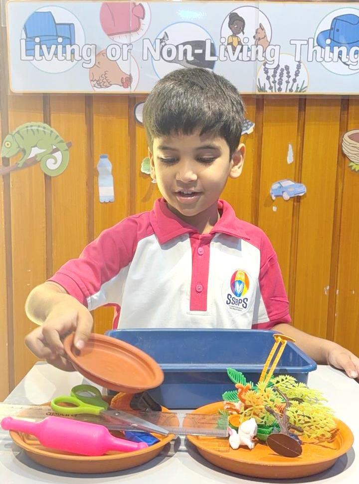 PYP 1 to PYP 3 learning activity